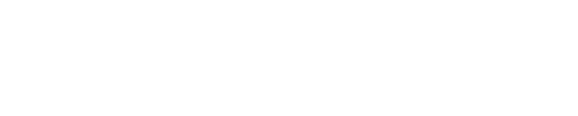 USDV