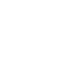 USDV Logo